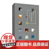 以文学的名义 薛忆沩随笔集 访谈文集 深圳人 精装 正版 华东师范大学出版社