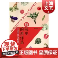 庭院里的西洋菜-中国外来植物