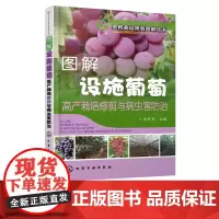 果树栽培修剪图解丛书 图解设施葡萄高产栽培修剪与病虫害防治 葡萄病虫害诊断防治技术 葡萄设施栽培技术教程 葡萄高效生