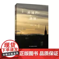 异域的迷宫 薛忆沩全新随笔集 精装散文集 正版图书 华东师范大学出版社