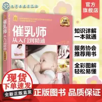 就业金手指系列 催乳师从入门到精通 彩色图解版 催乳理论知识 产后乳房修复指导 产妇营养配餐 催乳师入门指导产妇心理护理