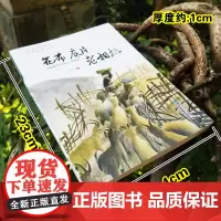 [店正版]花布底片老相机 王勇英著 福建少年儿童出版社8-10岁小学生3-4年级课外阅读书籍 儿童成长故事读物