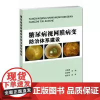 糖尿病视网膜病变防治体系建设 沈丽君 陈亦棋 编 眼科学 其他临床医学 眼科书籍眼科常规检查 天津科技翻译出版有限公司