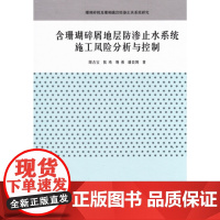 含珊瑚碎屑地层防渗止水系统施工风险分析与控制同济大学出版社9787560866765