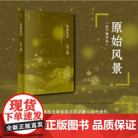 原始风景(迟子建作品) 茅盾文学奖鲁迅文学奖得主迟子建小说代表作四段童年视角的家族故事重温原始的纯真 书籍 作家出版社