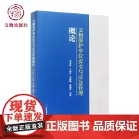 文物保护单位安全与应急管理 文物出版社