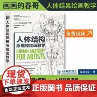 [出版社店]人体结构原理与绘画教学 画画的春哥动漫绘画教程书游戏动漫人体结构造型手绘技法结构原理与漫画教程书插画教程