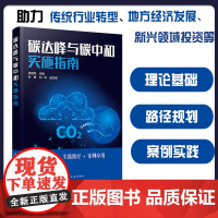 正版 碳达峰与碳中和实施指南 碳排放新能源发展 传统能源行业转型 新能源书籍能源体态思路 碳资源利用 节能减排绿色环保资