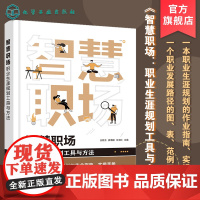 智慧职场 职业生涯规划工具与方法 职业生涯规划作业指南 实操手册 企业职业生涯规划管理图表范例工具箱 职业生涯规划 职业