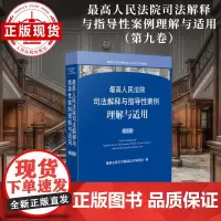 最高人民法院司法解释与指导性案例理解与适用(第九卷)