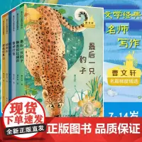 全6册曹名篇梯度精选最后的一只豹子燃烧的草山雪地灯笼飘逝的红葫芦独角牛孤独之旅纯美文学经典7-14岁三四五六年级橙童