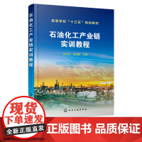 石油化工产业链实训教程 孙文志 石油化工生产安全 石油化工常见设备 石油化工生产工艺 装置操作训练 高校石油化工概论课程