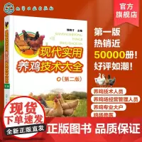 现代实用养鸡技术大全 第二版 科学养殖业鸡场经营 科学养鸡入门一本通 全书彩色印刷 鸡场疾病预防治诊断技术 全新鸡场管理