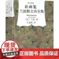 兰波彩彩画集 兰波散文诗全集作品诗集 地狱一季 兰波作品集 兰波诗歌 阿尔蒂尔·兰波 集上海译文出版社 象征主义代表作品