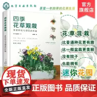 四季花草混栽 享受种花与插花的乐趣 迷你花园 花草混栽 植物盆栽 花草插花案例 插花制作方法配色 零基础花艺爱好者应用学