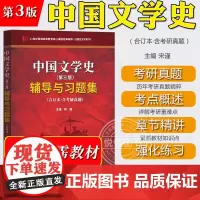 中国文学史 第三版 辅导及习题集 与高教社袁行霈中国文学史第3版教材参考辅导书练习册中国文学史考研参考复习资料中国文学史