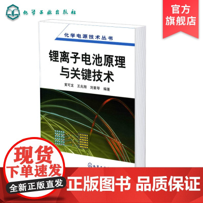 化学电源技术丛书 锂离子电池原理与关键技术 锂元素物理化学性质 锂离子电池基本概念组装技术 正j材料微观组成电化学性能应