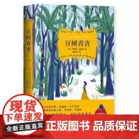 豆树青青 (美)芭芭拉·金索沃 爱、友谊与成长之书 现代/D代文学文学 正版图书