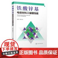 铁酸锌基电极材料及储锂性能 铁酸锌基电极材料制备及储锂性能研究 铁酸锌结构与储锂性能生产加工 铁酸锌基电j材料制备应用书