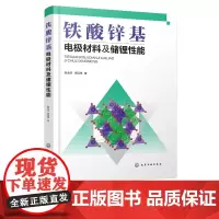 铁酸锌基电极材料及储锂性能 铁酸锌基电极材料制备及储锂性能研究 铁酸锌结构与储锂性能生产加工 铁酸锌基电j材料制备应用书