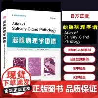 涎腺病理学图谱(国际经典病理学译著)(精) (美)华金·J.加西亚 正版书籍 重症医学书籍 病理学习 临床检验 病理医师