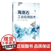 海泡石工业应用技术 海泡石基本信息性质与化学组成海泡石预处理研究海泡石用途其他黏土矿物性质及应用 化工材料矿物加工应用书