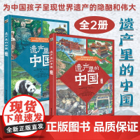 遗产里的中国 全2册 为中国孩子呈现世界遗产的隐秘和伟大 具艺术气息的世界遗产传统文化科普绘本图书籍 电子工业出版社