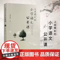 正版 上出精彩的小学语文公开课 语文课这样上语文课就该这样教 小学语文知识大全课程设计教师用书教编用书追求理解的教学设计