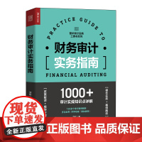 财务审计实务指南 审计报告内部审计学财务会计学企业管理实务内审财会舞弊风险管理企业会计准则