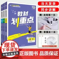 2024新]七7年级上册教材全解教材划重点语文数学英语 语数英初一七上语文教材全解解读rj人教版基础知识讲解基础知识教材