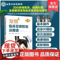 宠物临床显微检验及图谱 第二版 宠物临床显微检验技术书籍 显微镜及操作的注意事项 宠物检验兽医临床显微检验小动物犬猫应用