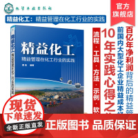 正版 精益化工 精益管理在化工行业的实践 精益思想基本概念化工企业应用精益两大重点操作和设备 精益塔精益变革管理体系应用