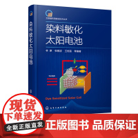 太阳能利用前沿技术丛书 染料敏化太阳电池 太阳能电池光伏材料研究 染料敏化太阳能电池第三代太阳电池 太阳电池结构电解质