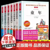 全套7册 小学六年级课外书必读童年书高尔基书目上下册正版原著小英雄雨来爱的教育爱丽丝漫游奇境 快乐读书吧老师书籍五
