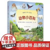 动物小百科 情景认知小百科 儿童趣味科普百科全书绘本阅读启蒙早教翻翻书6-8-10岁小学生一二三年级课外阅读书籍少儿亲子