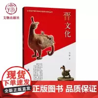 晋文化 20世纪中国文物考古发现与研究丛书 文物出版社