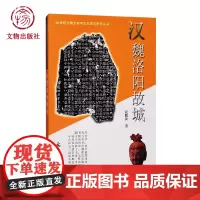 汉魏洛阳故城 20世纪中国文物考古发现与研究丛书 文物出版社