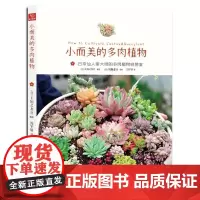 小而美的多肉植物 湖南科技