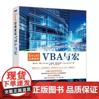 Excel经典教程——VBA与宏 数据分析数据可视化经典教程书籍表格制作微软MVP认证培训师自定义函数