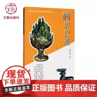 满城汉墓 20世纪中国文物考古发现与研究丛书 文物出版社