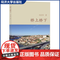 桥上桥下 少儿科普读物 桥梁知识文化 同济大学出版社