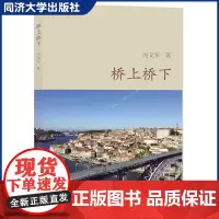 桥上桥下 少儿科普读物 桥梁知识文化 同济大学出版社