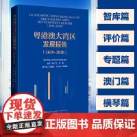 粤港澳大湾区发展报告(2019—2020)区域经济合作研究报告广东珠海横琴香港澳门发展趋势及政策建议 广东人民出版社