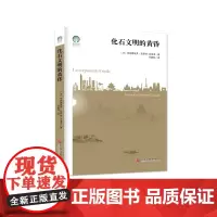 化石文明的黄昏 绿色发展通识丛书