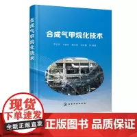 合成气甲烷化技术 成气甲烷化反应热力学和动力学 合成气甲烷化技术背景 煤化工甲烷化关键技术 合成气甲烷化催化剂关键技术应