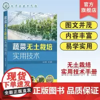 蔬菜无土栽培实用技术 无土栽培概念类型特点发展历史应用范围 无土栽培基地规划与环境调控技术 蔬菜作物无土栽培理论知识应用