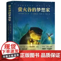 萤火谷的梦想家 艾莉森麦吉 著 国外获奖儿童故事书小学生课外阅读书籍二三四五年级读非注音版8-9-10岁青少年读物儿童文