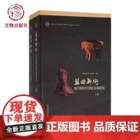 蓝田新街——新石器时代遗址发掘报告