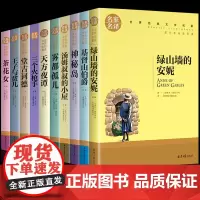 全10册世界经典文学名著名家名译王子与贫儿汤姆叔叔的小屋神秘岛天方夜谭茶花女雾都孤儿三个枪手小学生必读课外书籍世界名著