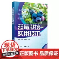 蓝莓栽培实用技术 杨芩 蓝莓栽培技术蓝莓有机质栽培 蓝莓绿色有机无公害培育蓝莓病虫害防治 果农技术人员农业院校师生阅读参